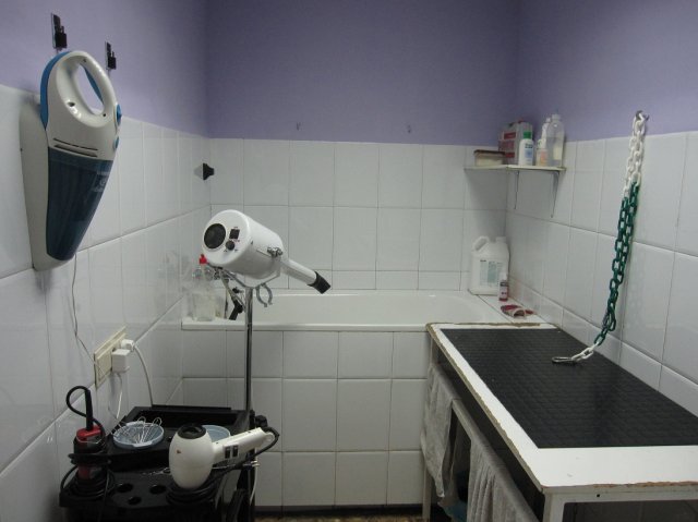 Peluqueria