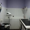 Peluqueria